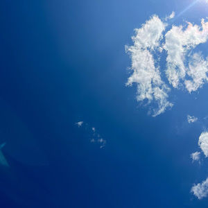 Meet your Posher, Anny